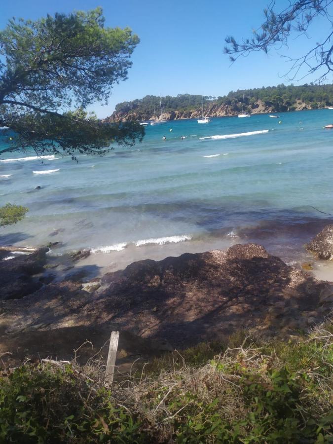Appartement " Le Grand Bleu " A 3 Min De La Plage La Londe-les-Maures Eksteriør billede