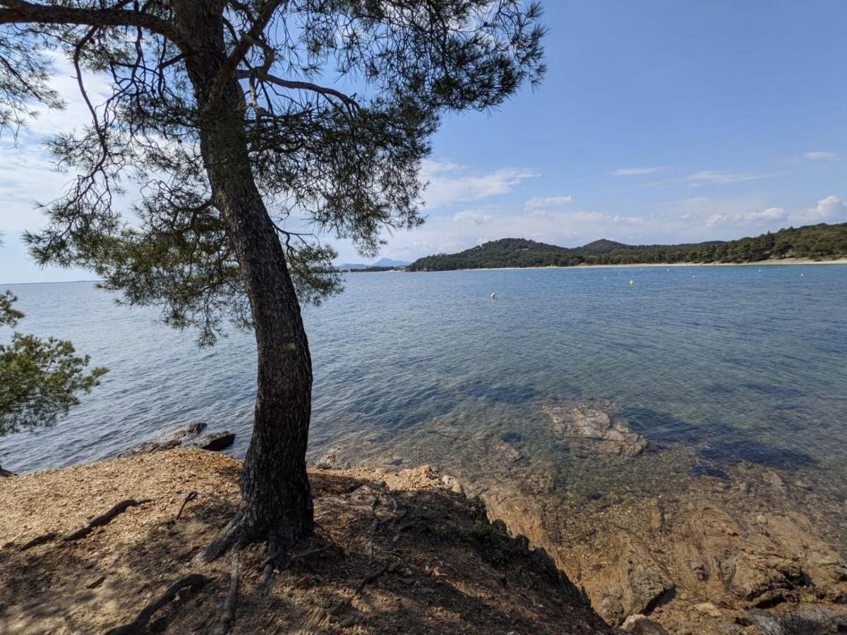 Appartement " Le Grand Bleu " A 3 Min De La Plage La Londe-les-Maures Eksteriør billede